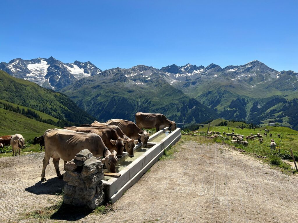 Las alps ein cargadas