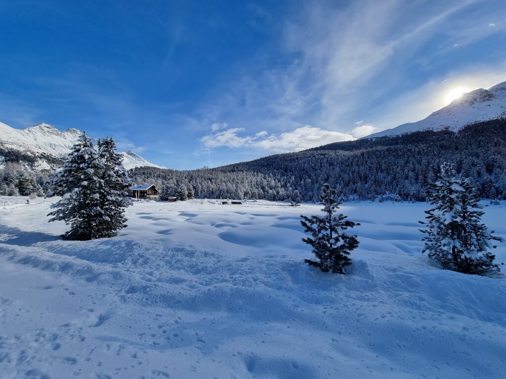 Laj da Staz, enviern