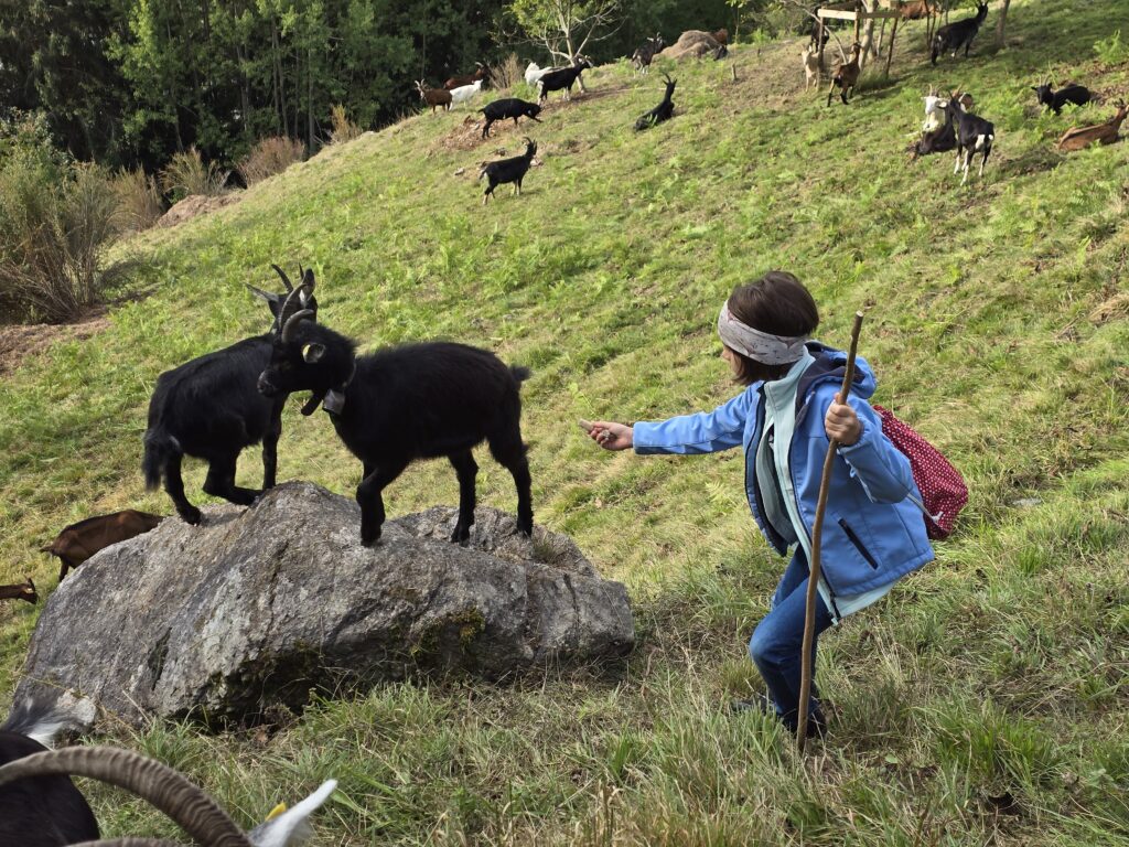 Ellas san esser capriziusas, mo era temeletgas: Ina mattatscha emprova da carmalarina caura.