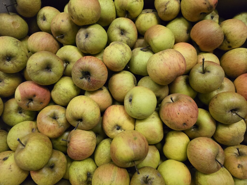 Meila grischuna ei buca in product industrial e s'adattescha per biaras tratgas culinaricas.