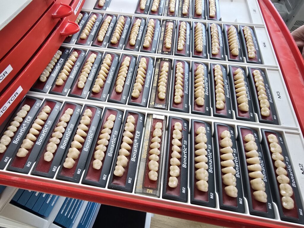 La scaffa da molars artificials semeglia ina scaffa da cumponer.