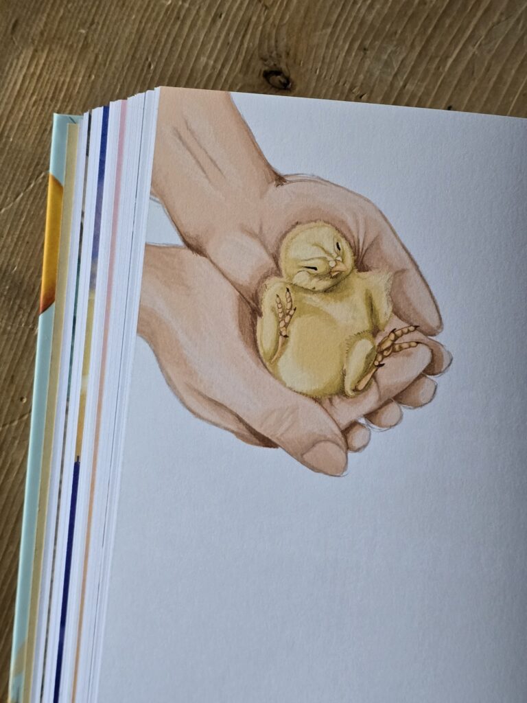 Ina illustraziun ord il cudisch.