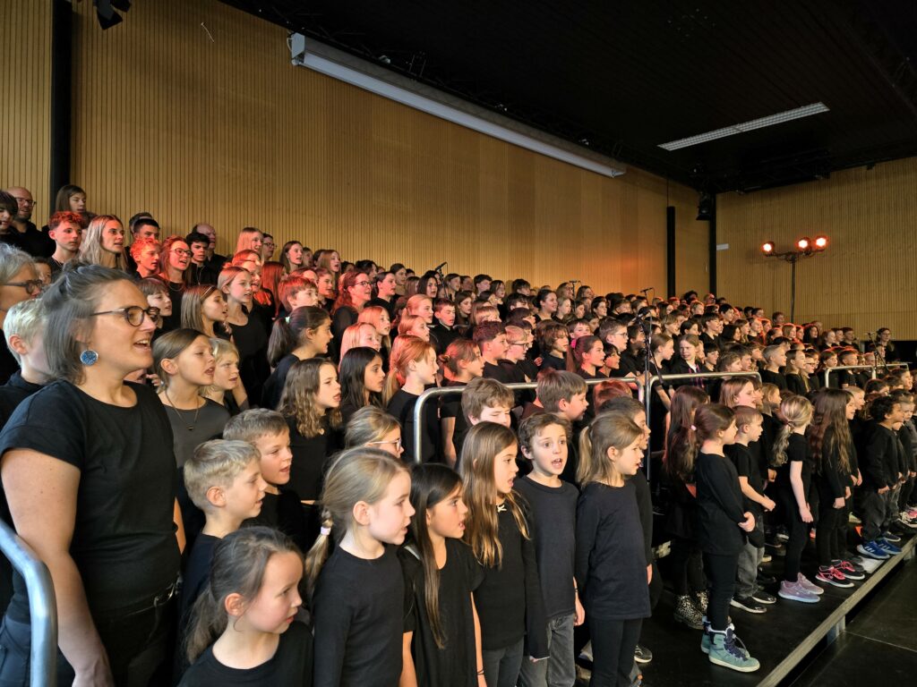 Vesta sil grond chor dalla scola da Flem.