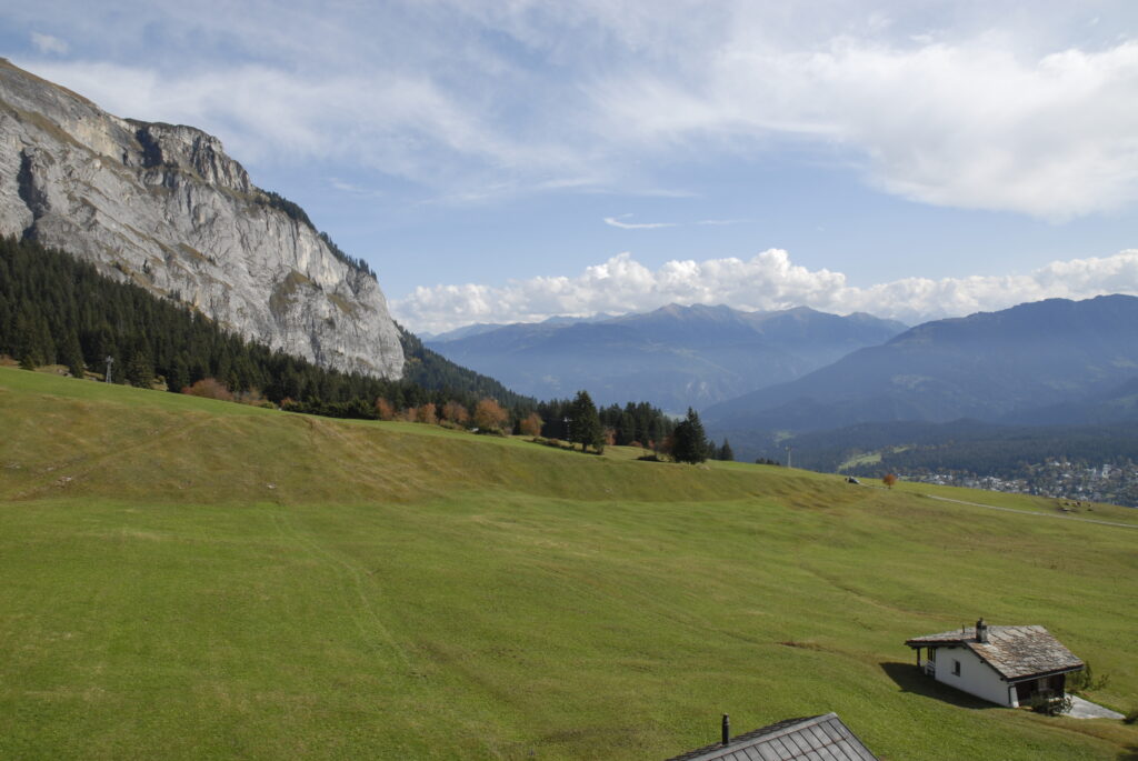 Il funs da Foppa sur Flem. Tras quei territori vegn il dutg da Spaligna a menar.