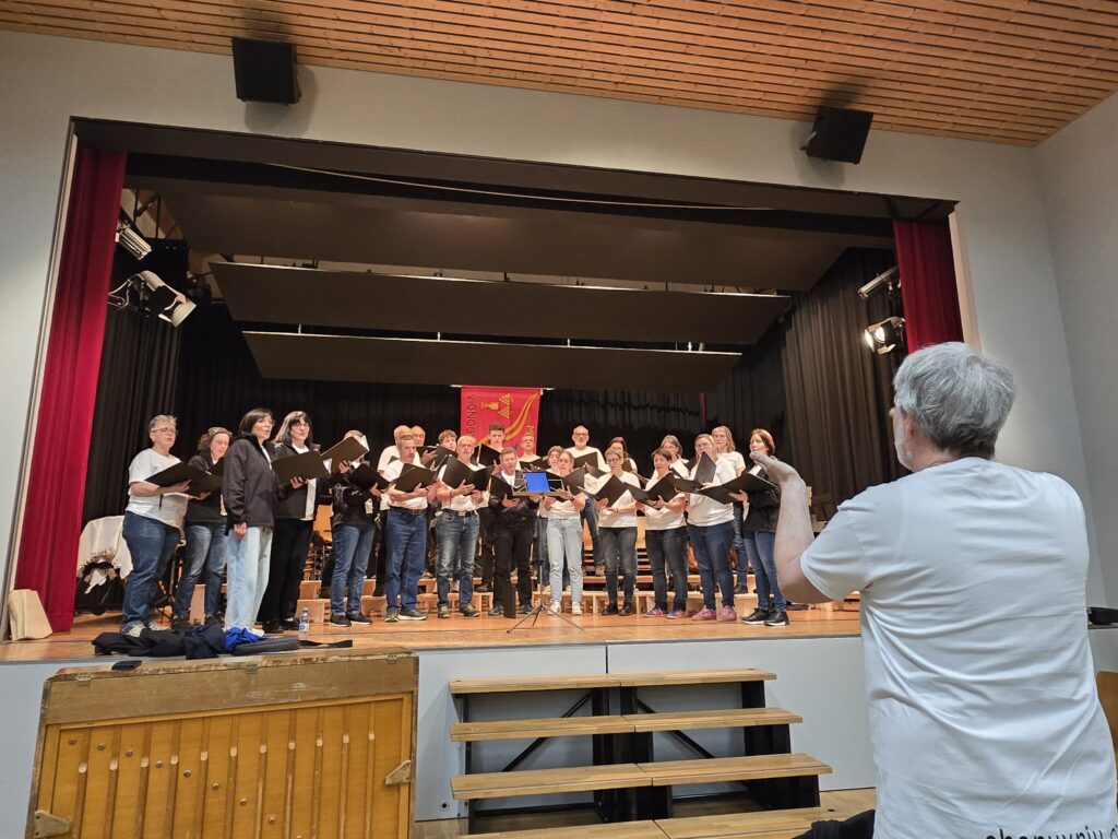 Daniel Pally diregia dapi l'entschatta, vul dir dapi 2006, il Chor Uvriu Danis-Tavanasa. Cheu sin tribuna a Vignogn.