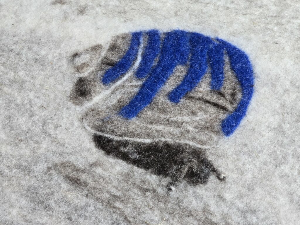 Sco sch'ella semuvess e vegness gest ord la carlogna: la glimaia blaua.